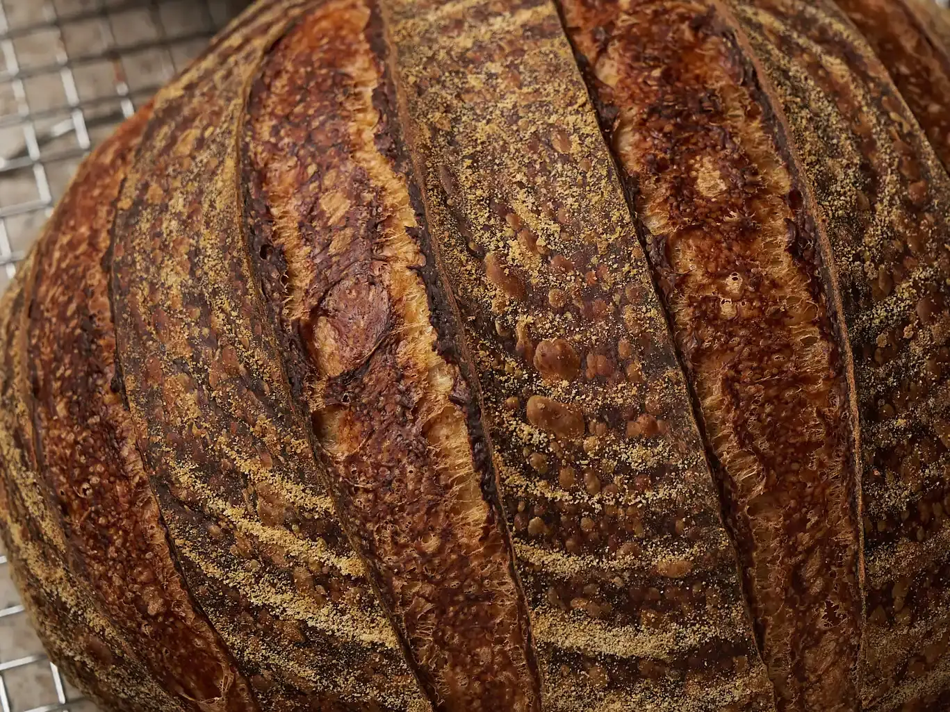 A scored loaf of sourdough bread cooling on a wire rack. The photo was not taken at a Germantown bakery.
