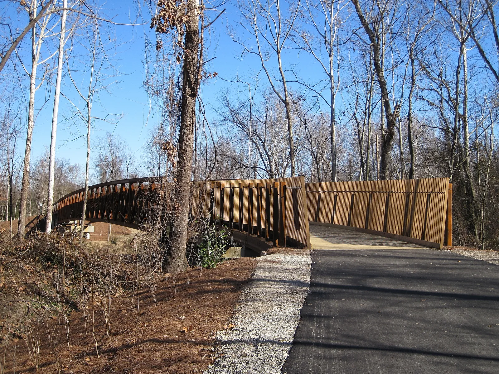 A wooden pedestrian bridge on the Wolf River Greenway in Memphis. The picture is not of the Cameron Brown Park bridge.