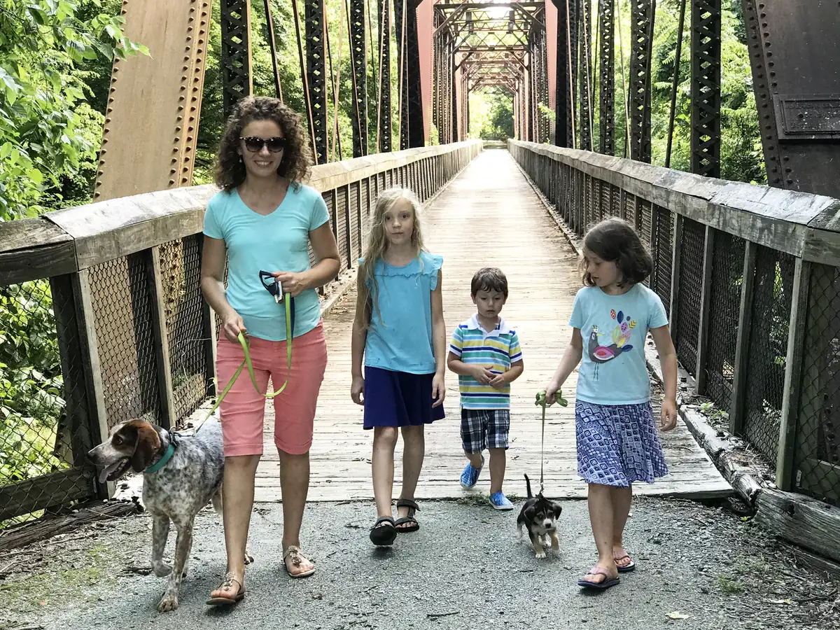A family walks two leashed dogs across a wooden trail bridge in a Virginia state park.