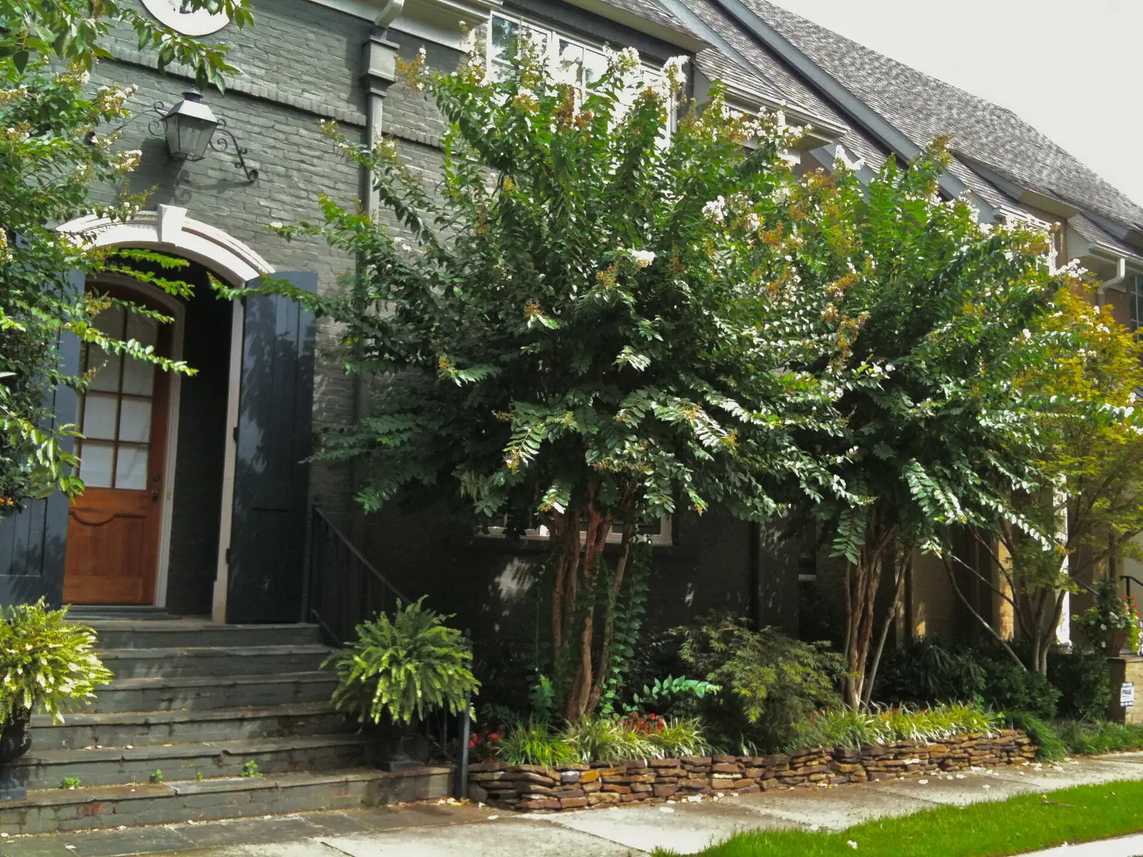 A gray brick house with crape myrtles at the front steps on a residential street in Germantown.