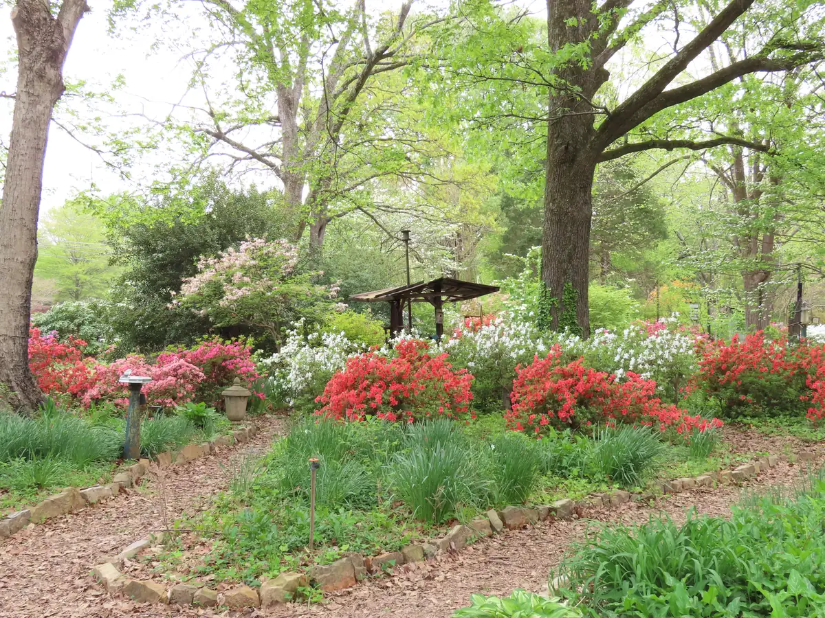 A mulched path winds past red azaleas and shade trees in Oaklawn Garden on Poplar Pike.