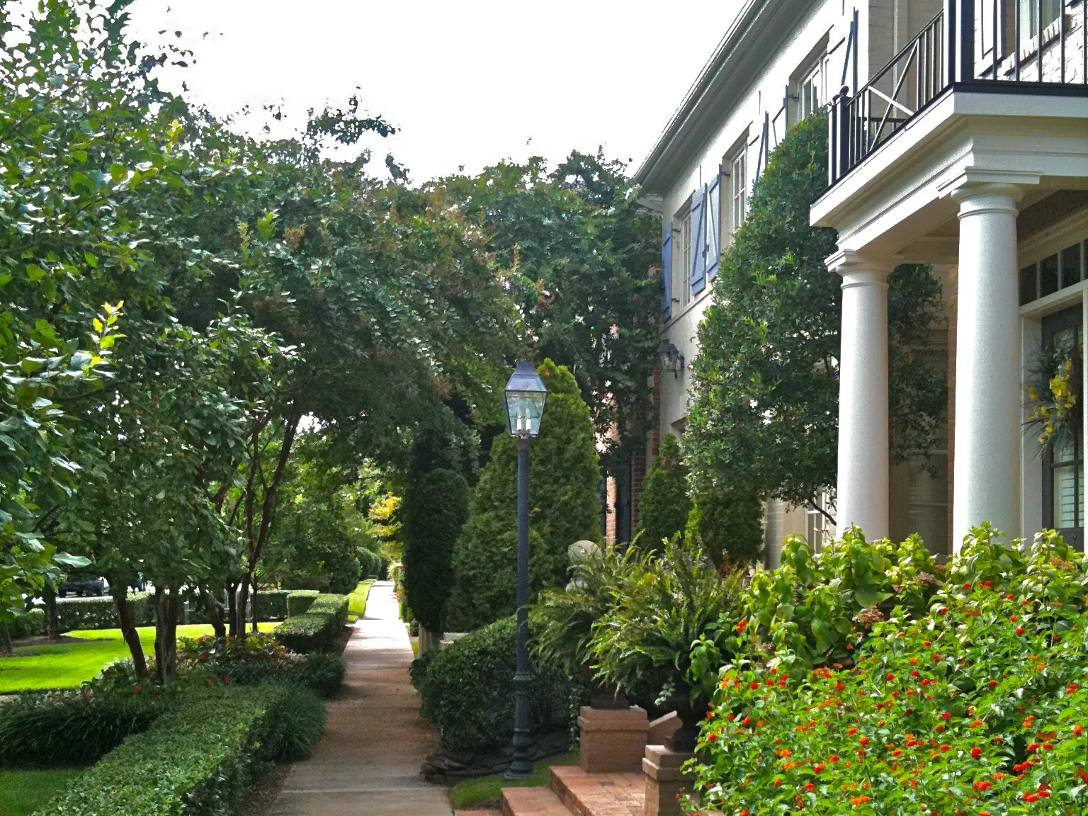 A shaded brick sidewalk runs between hedges and columned homes in Germantown in summer.