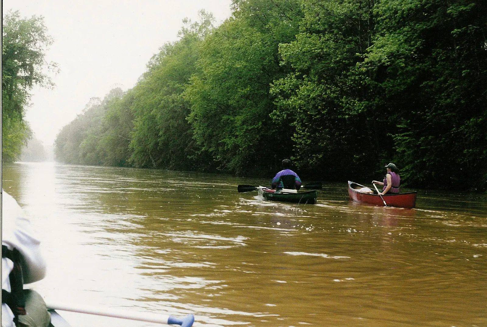 Two paddlers in canoes on the Wolf River as it winds past thick woods at Germantown.